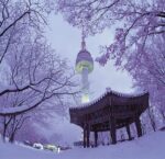 Отдых в Сеуле зимой