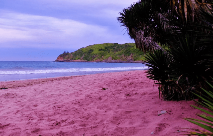 Розовый пляж Харбор