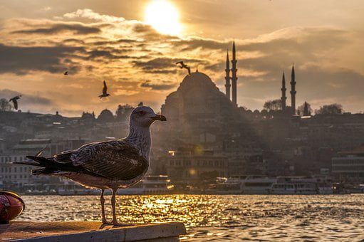 Турция Стамбул