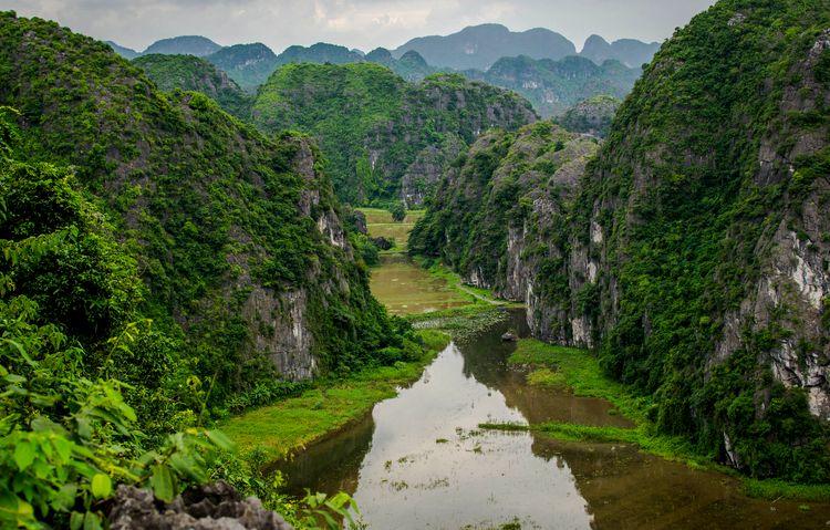 Вьетнам 2019 - фото природы