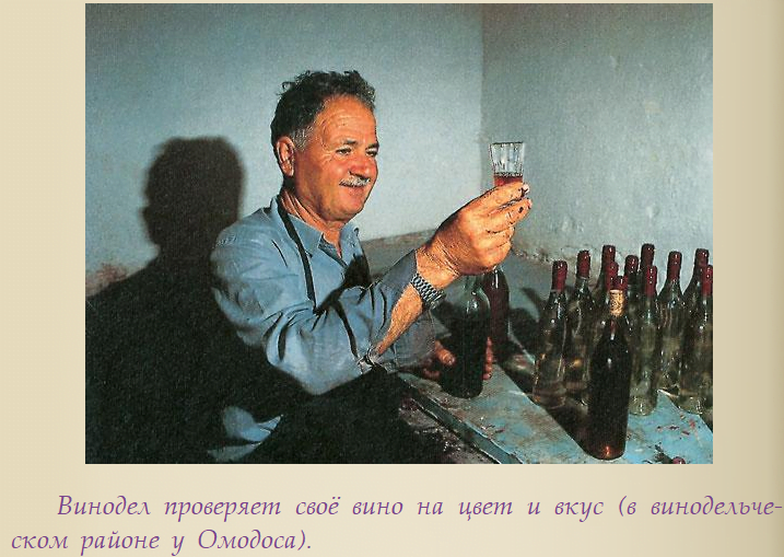 Винодел проверяет вино Тродос