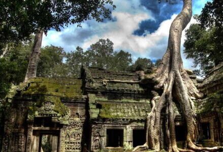 Интересные места Камбоджи: храм Та-Пром